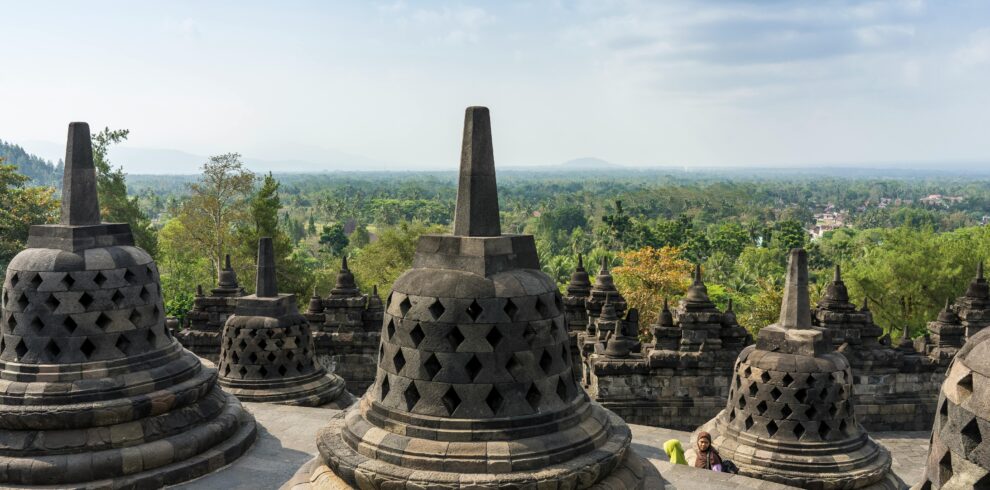 pexels-linda-gschwentner-154780054-10913619